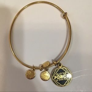 Disney Parks Alex and Ani Star Wars Bracelet